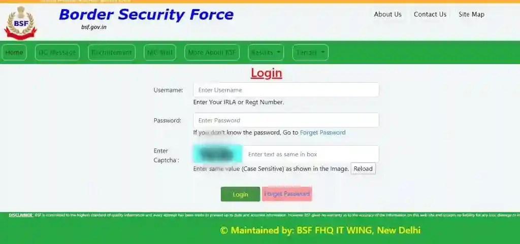 BSF Pay Slip Download